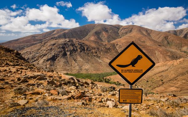 FUERTEVENTURA